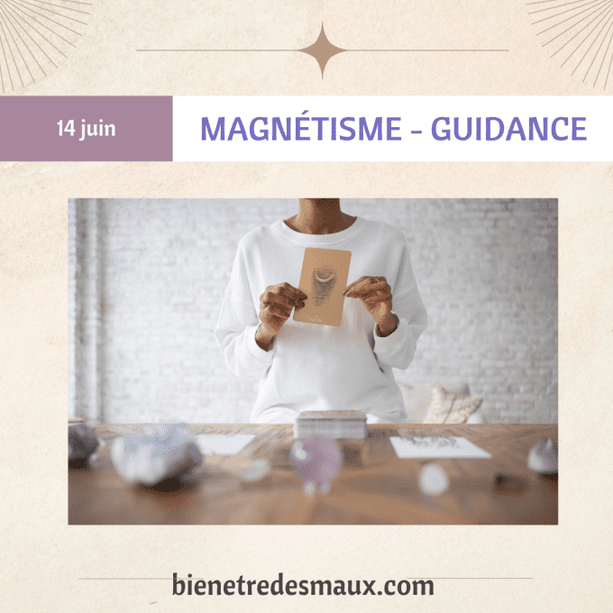 Stage  magnétisme - Guidance